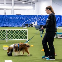 26-18-10-ScentWork-409