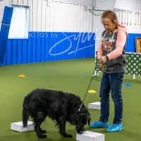 26-18-10-ScentWork-41