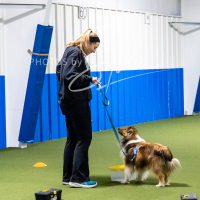 26-18-10-ScentWork-414