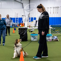 26-18-10-ScentWork-415