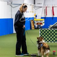 26-18-10-ScentWork-419