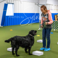 26-18-10-ScentWork-42