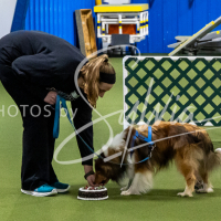 26-18-10-ScentWork-420