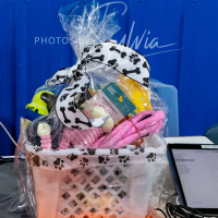 26-18-10-ScentWork-424