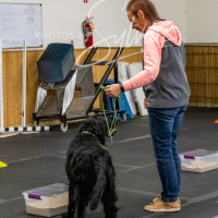26-18-10-ScentWork-434