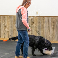 26-18-10-ScentWork-439
