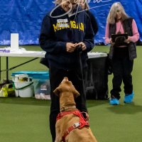 26-18-10-ScentWork-44
