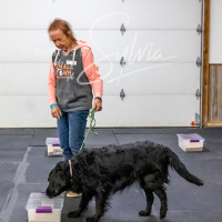 26-18-10-ScentWork-440