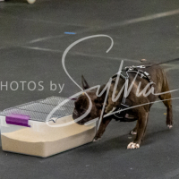 26-18-10-ScentWork-443
