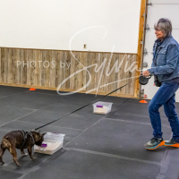 26-18-10-ScentWork-447