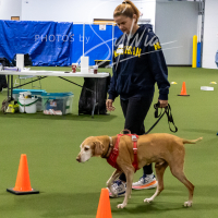 26-18-10-ScentWork-45