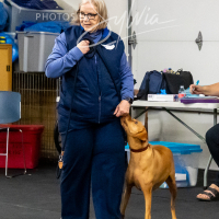 26-18-10-ScentWork-450