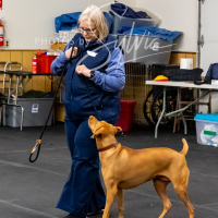26-18-10-ScentWork-451
