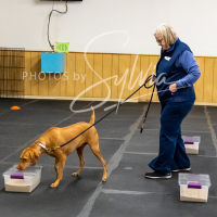 26-18-10-ScentWork-454