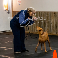26-18-10-ScentWork-456