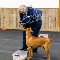 26-18-10-ScentWork-458