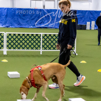 26-18-10-ScentWork-46