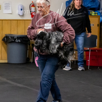 26-18-10-ScentWork-460