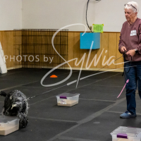 26-18-10-ScentWork-463