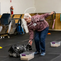 26-18-10-ScentWork-464