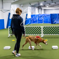 26-18-10-ScentWork-47