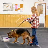 26-18-10-ScentWork-471