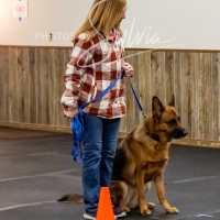 26-18-10-ScentWork-473