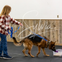 26-18-10-ScentWork-474