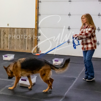 26-18-10-ScentWork-476