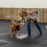 26-18-10-ScentWork-478
