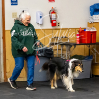 26-18-10-ScentWork-479
