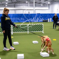 26-18-10-ScentWork-48
