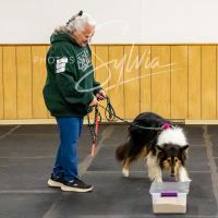 26-18-10-ScentWork-482