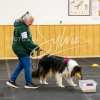 26-18-10-ScentWork-483