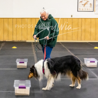 26-18-10-ScentWork-485