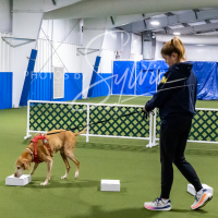 26-18-10-ScentWork-49