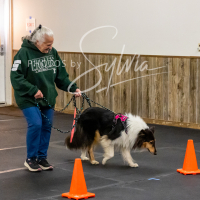26-18-10-ScentWork-490