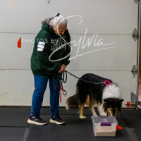 26-18-10-ScentWork-492