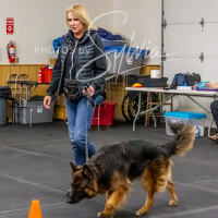 26-18-10-ScentWork-494