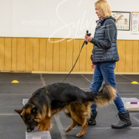 26-18-10-ScentWork-495