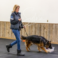 26-18-10-ScentWork-501