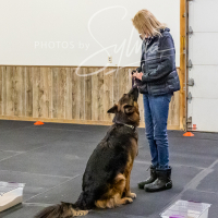 26-18-10-ScentWork-505