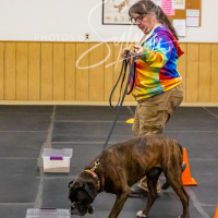 26-18-10-ScentWork-508