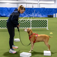 26-18-10-ScentWork-51