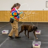 26-18-10-ScentWork-511