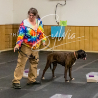 26-18-10-ScentWork-513
