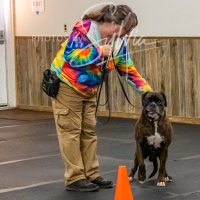 26-18-10-ScentWork-515
