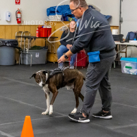 26-18-10-ScentWork-522