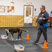 26-18-10-ScentWork-524