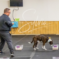 26-18-10-ScentWork-527